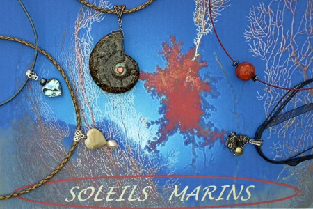 Collection SOLEILS MARINS : Météorite, ammonite, corail et nacres